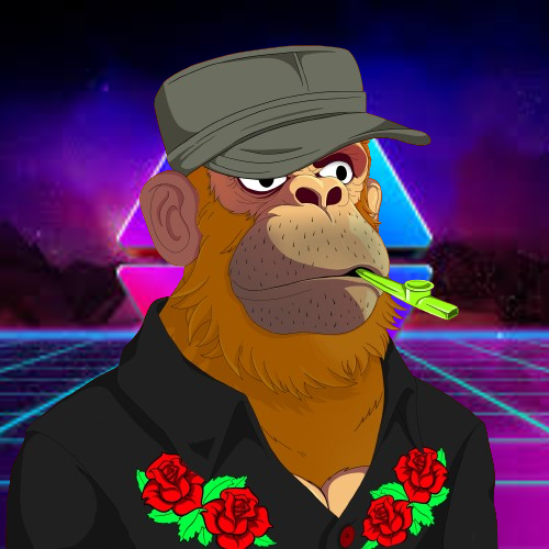 SASHA APE SYSTEM ALPHA